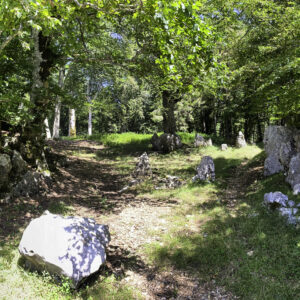 TREKKING COLLE GONFALONE