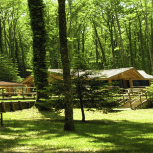 TREKKING SENTIERO DEI PICCOLI