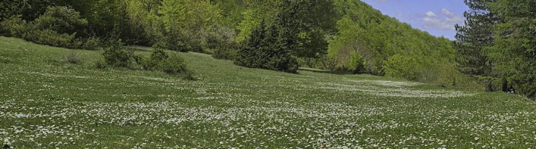 Termini di Cancellazione